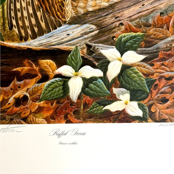 John A Ruthven Signed & Numbered Ruffed Grouse Print 1994 Wildlife Art 312/1000 - Picture 5 of 8